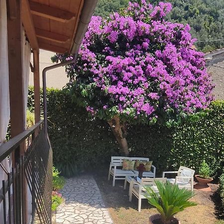 La Bouganville e Il Gelsomino Pietrasanta Esterno foto