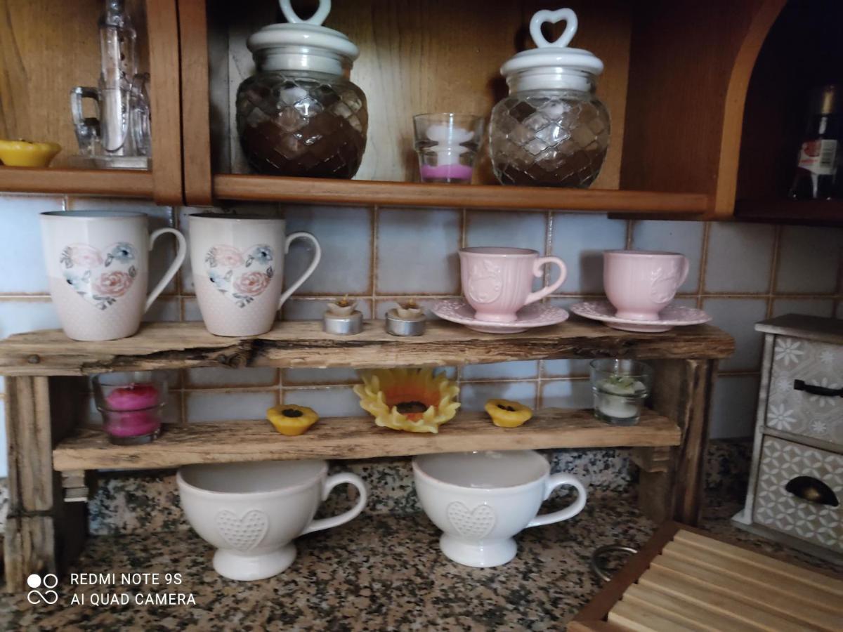 La Bouganville e Il Gelsomino Pietrasanta Esterno foto