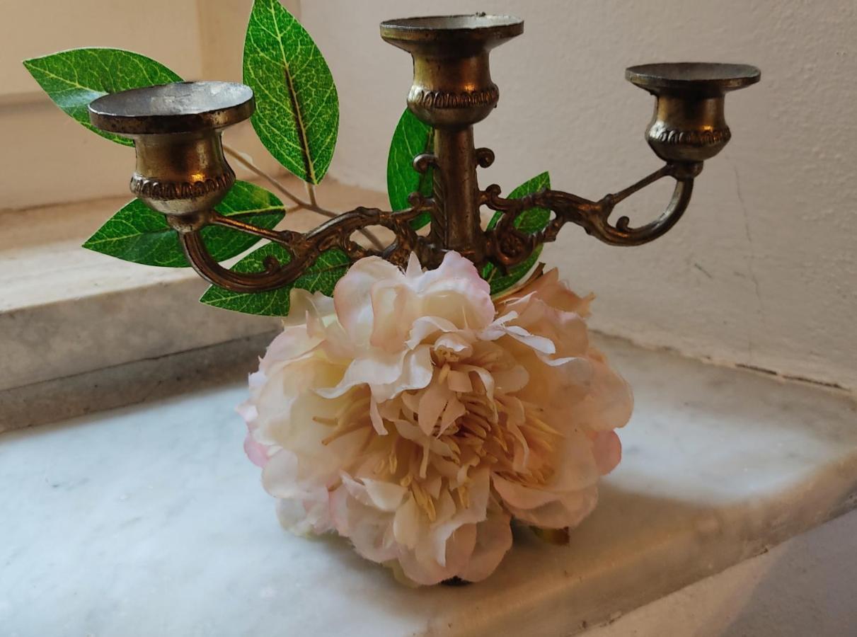 La Bouganville e Il Gelsomino Pietrasanta Esterno foto