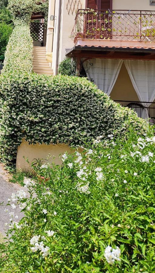 La Bouganville e Il Gelsomino Pietrasanta Esterno foto