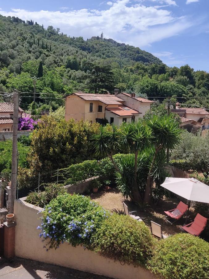 La Bouganville e Il Gelsomino Pietrasanta Esterno foto